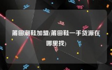 莆田潮鞋加盟(莆田鞋一手货源在哪里找)