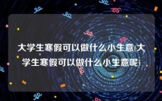 大学生寒假可以做什么小生意(大学生寒假可以做什么小生意呢)