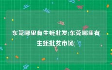 东莞哪里有生蚝批发(东莞哪里有生蚝批发市场)