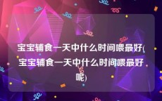 宝宝辅食一天中什么时间喂最好(宝宝辅食一天中什么时间喂最好呢)