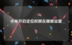 小米开启定位权限在哪里设置