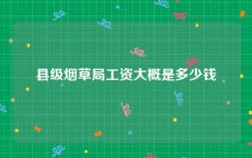 县级烟草局工资大概是多少钱