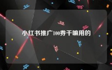 小红书推广100券干嘛用的