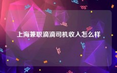 上海兼职滴滴司机收入怎么样