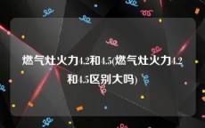 燃气灶火力4.2和4.5(燃气灶火力4.2和4.5区别大吗)