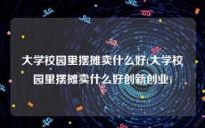 大学校园里摆摊卖什么好(大学校园里摆摊卖什么好创新创业)