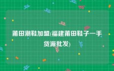 莆田潮鞋加盟(福建莆田鞋子一手货源批发)