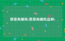 蒸菜有哪些(蒸菜有哪些品种)