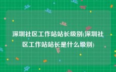 深圳社区工作站站长级别(深圳社区工作站站长是什么级别)