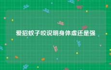 爱招蚊子咬说明身体虚还是强