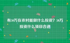 有50万在农村能做什么投资？50万投资什么项目合适