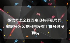 微信号怎么找回来没有手机号码 微信号怎么找回来没有手机号码没有Qq