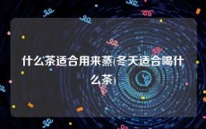 什么茶适合用来蒸(冬天适合喝什么茶)