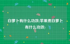 白萝卜有什么功效(苹果煮白萝卜有什么功效)