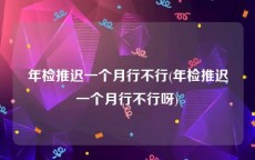 年检推迟一个月行不行(年检推迟一个月行不行呀)