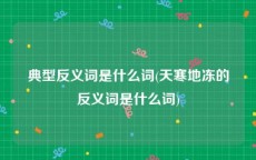 典型反义词是什么词(天寒地冻的反义词是什么词)