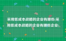 采用低成本战略的企业有哪些(采用低成本战略的企业有哪些企业)