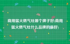 商用猛火燃气灶哪个牌子好(商用猛火燃气灶什么品牌的最好)