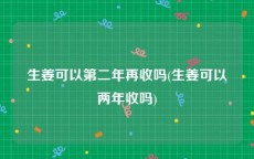 生姜可以第二年再收吗(生姜可以两年收吗)