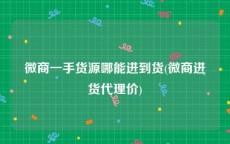 微商一手货源哪能进到货(微商进货代理价)