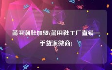 莆田潮鞋加盟(莆田鞋工厂直销一手货源微商)