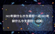 2022年做什么小生意好一点(2022年做什么小生意好一点呢)