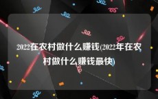 2022在农村做什么赚钱(2022年在农村做什么赚钱最快)