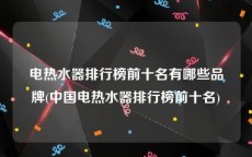 电热水器排行榜前十名有哪些品牌(中国电热水器排行榜前十名)