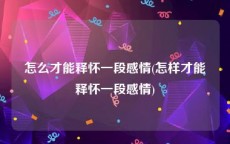 怎么才能释怀一段感情(怎样才能释怀一段感情)