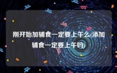 刚开始加辅食一定要上午么(添加辅食一定要上午吗)