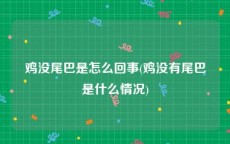 鸡没尾巴是怎么回事(鸡没有尾巴是什么情况)