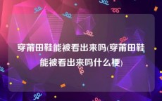 穿莆田鞋能被看出来吗(穿莆田鞋能被看出来吗什么梗)