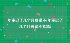 年审迟了几个月要紧不(年审迟了几个月要紧不紧急)