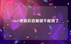win11更新后音量键不能调了