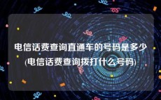 电信话费查询直通车的号码是多少(电信话费查询拨打什么号码)