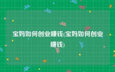 宝妈如何创业赚钱(宝妈如何创业赚钱)