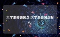 大学生都去国企(大学生去国企好么)