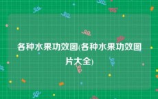 各种水果功效图(各种水果功效图片大全)