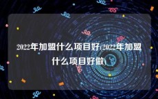 2022年加盟什么项目好(2022年加盟什么项目好做)