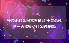 牛蒡茶什么时候喝最好(牛蒡茶减肥一天喝多少什么时候喝)