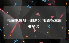 毛囊恢复期一般多久(毛囊恢复需要多久)