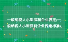 一般纳税人小型微利企业界定(一般纳税人小型微利企业界定标准)