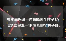 电水壶保温一体智能哪个牌子好(电水壶保温一体 智能哪个牌子好)