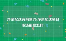 净菜配送有前景吗(净菜配送项目市场前景怎样)