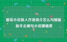 番茄小说新人作者简介怎么写模板 新手去哪写小说赚稿费