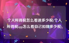 个人所得税怎么看退多少税(个人所得税app怎么看自己扣除多少税)
