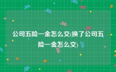 公司五险一金怎么交(换了公司五险一金怎么交)