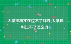 大学挂科实在过不了咋办(大学挂科过不了怎么办)