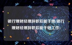 银行理财经理辞职后能干啥(银行理财经理辞职后能干啥工作)