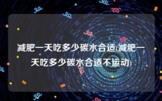 减肥一天吃多少碳水合适(减肥一天吃多少碳水合适不运动)